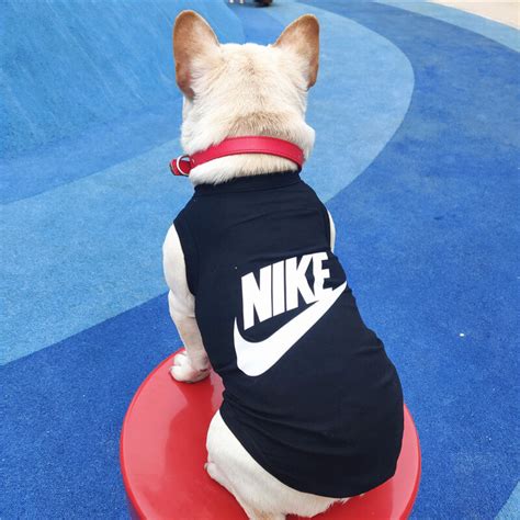 nike dog designer shop.